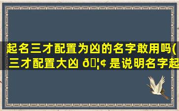 起名三才配置为凶的名字敢用吗(三才配置大凶 🦢 是说明名字起得不好吗)